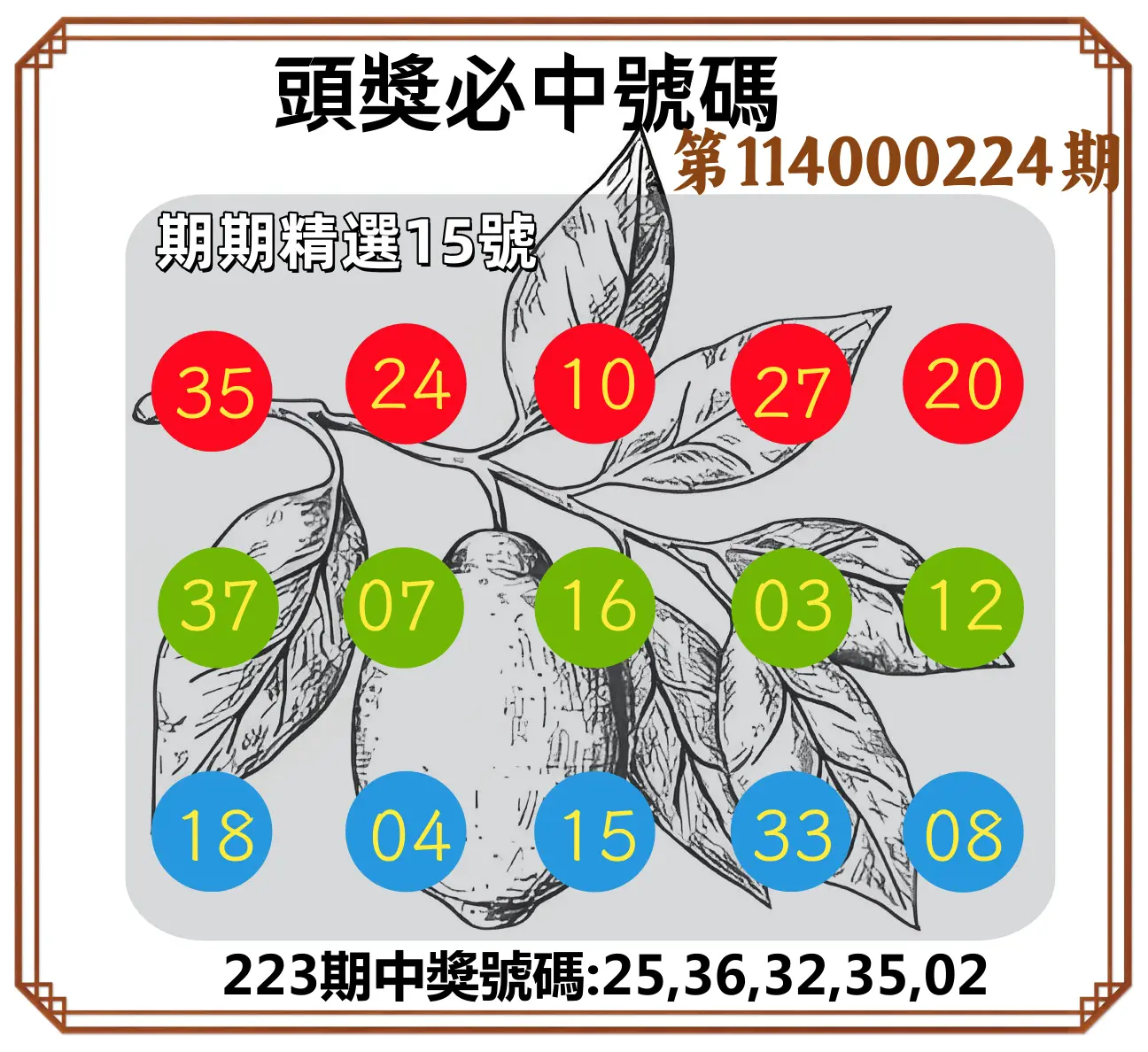 今彩539第114000224期(09/15)頭獎號碼