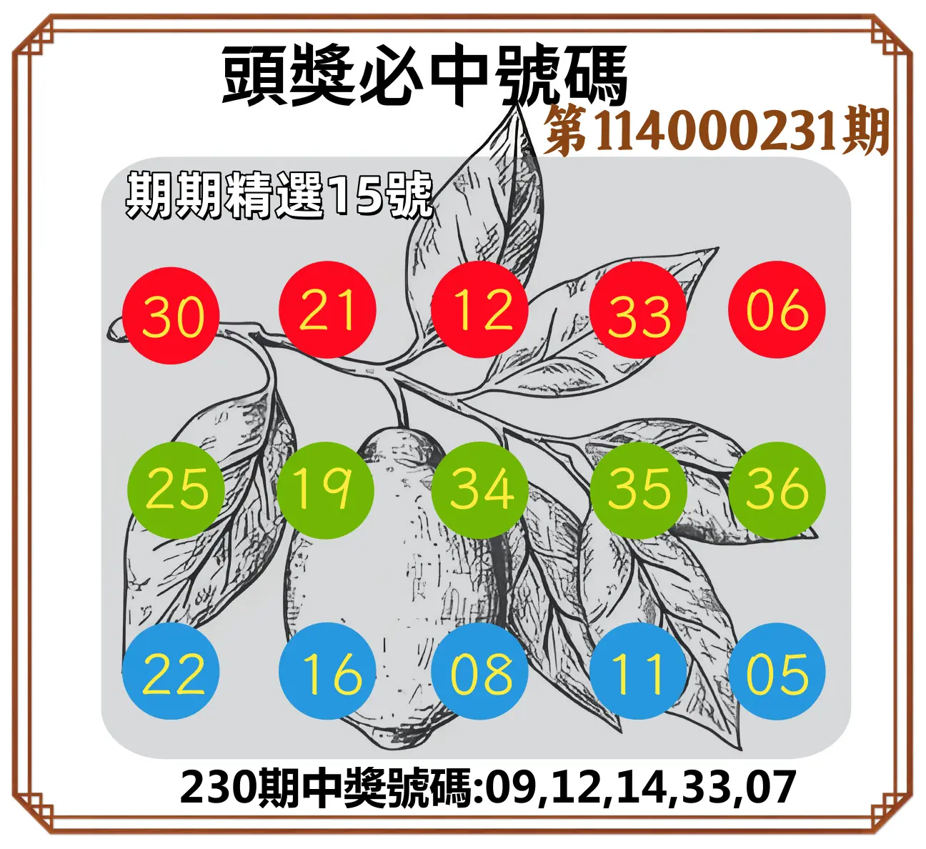 今彩539第114000231期(09/23)頭獎號碼