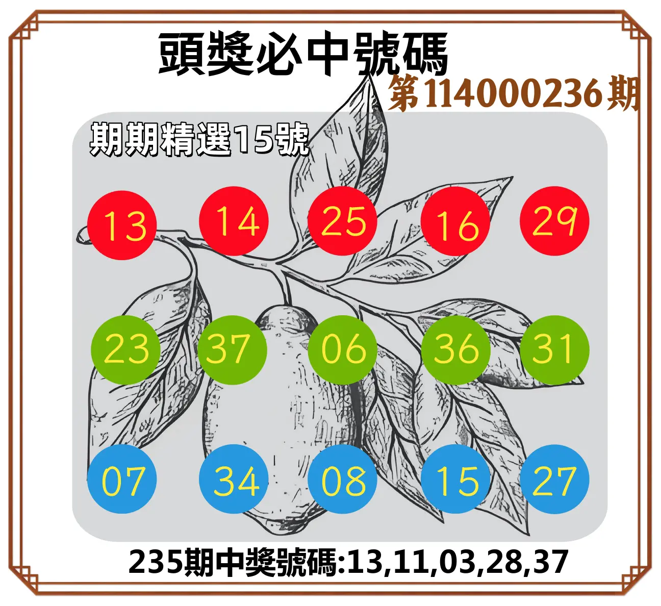 今彩539第114000236期(09/29)頭獎號碼