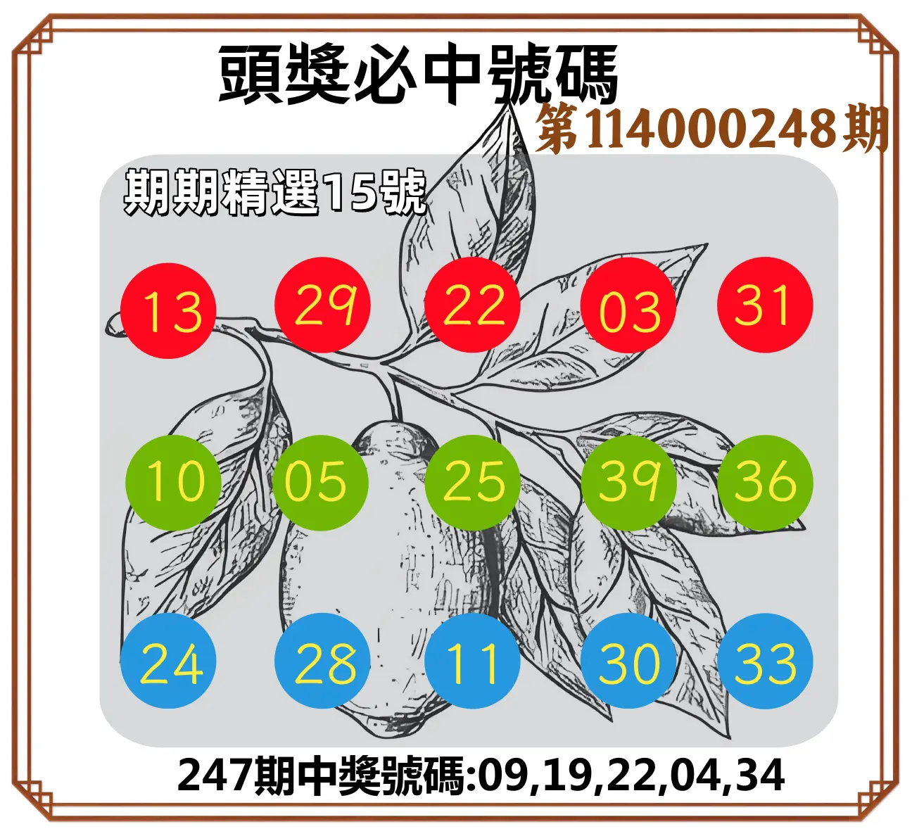 今彩539第114000248期(10/13)頭獎號碼