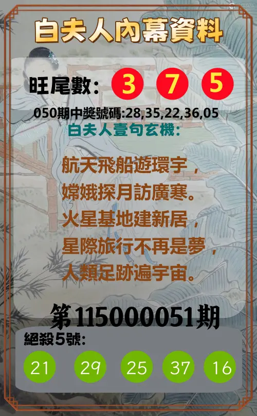 今彩539第115000051期(02/26)白夫人內幕資料