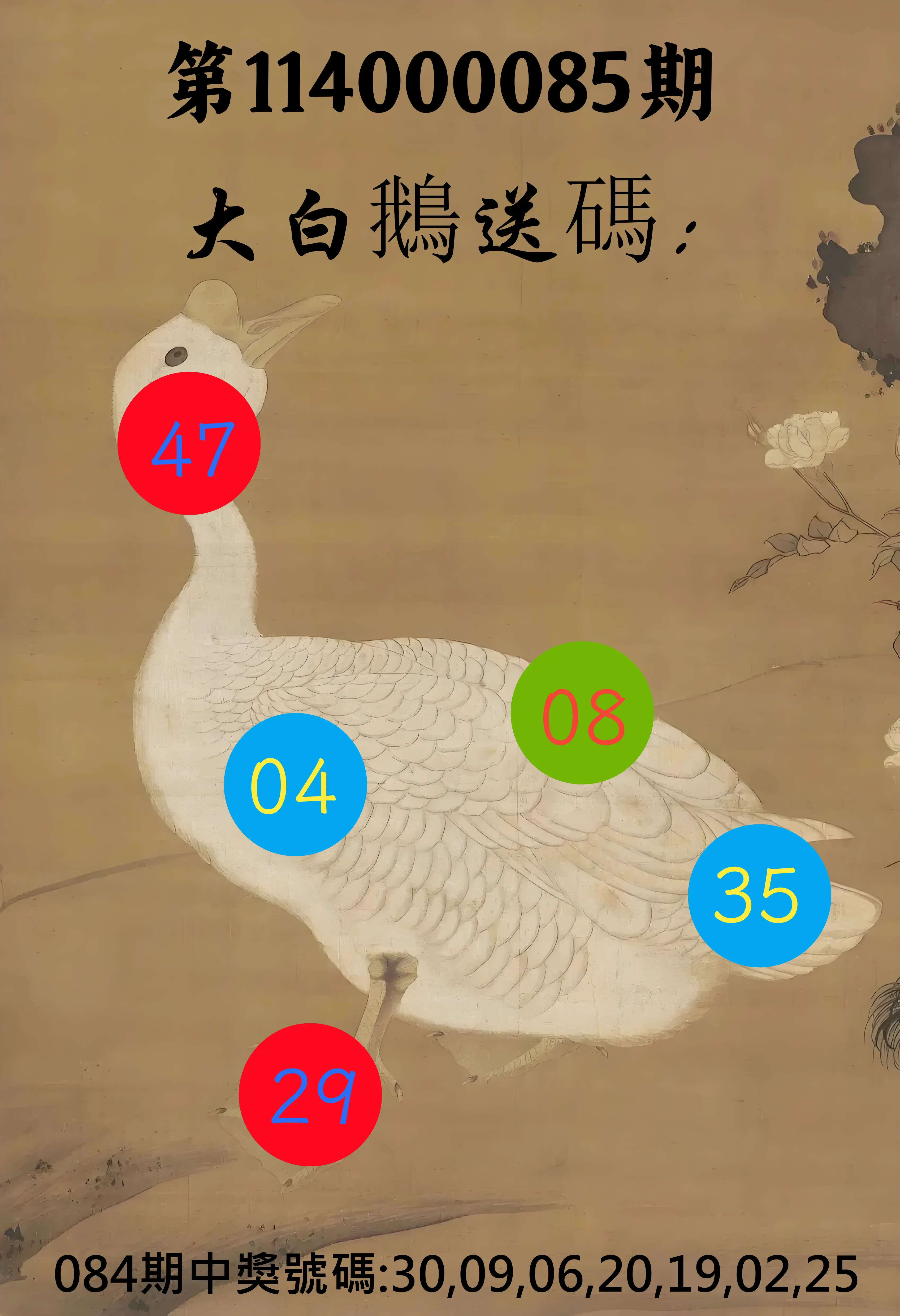 大樂透第114000085期(09/05)大白鵝送碼