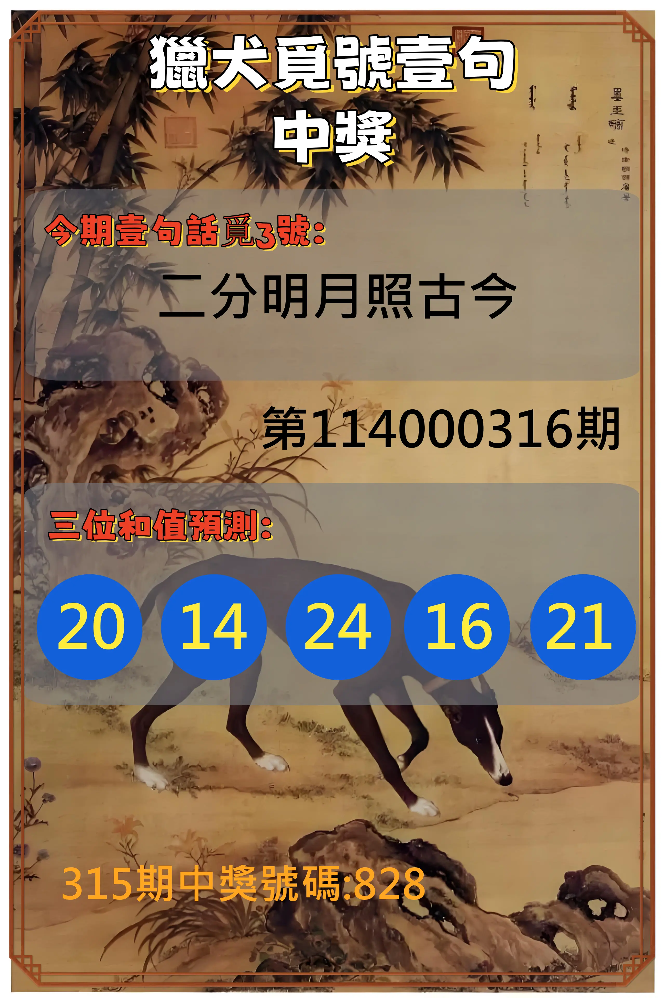 3星彩第114000316期(12/31)獵犬覓號壹句中獎