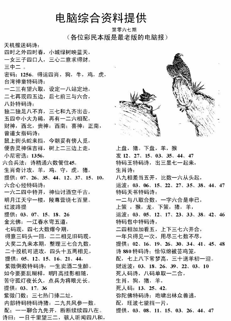 六合彩067期电脑综合资料A(黑白)