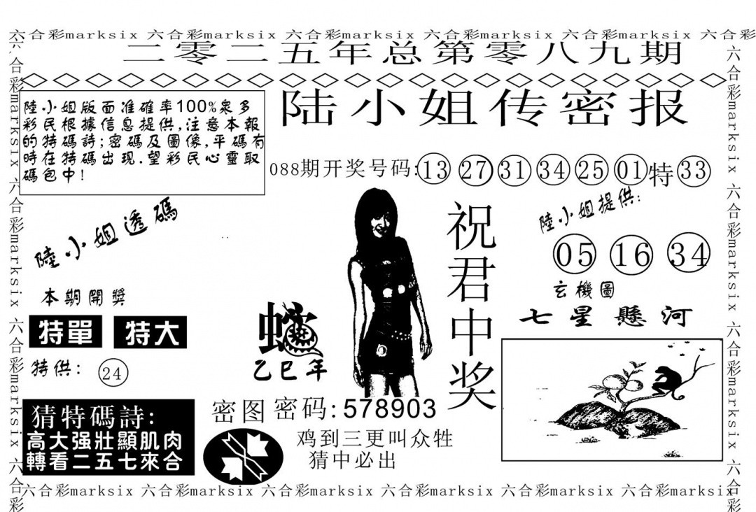 六合彩089期陆小姐传密A(黑白)