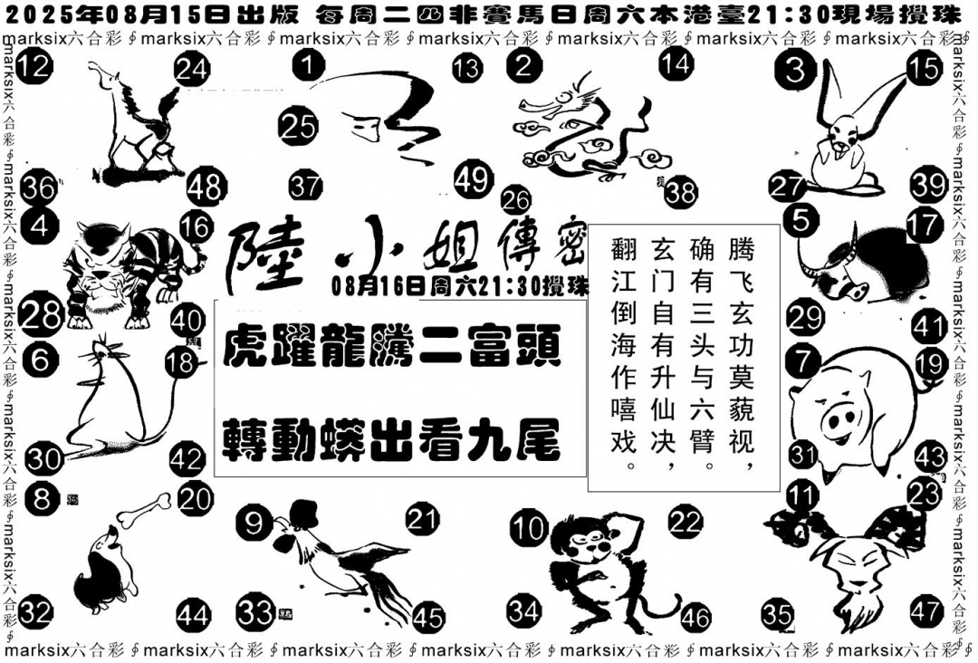 六合彩089期陆小姐传密B(黑白)