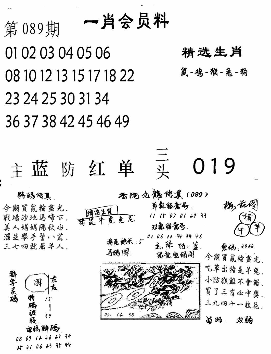 六合彩089期一肖会员料(黑白)