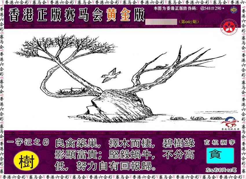 六合彩067期赛马会黄金版