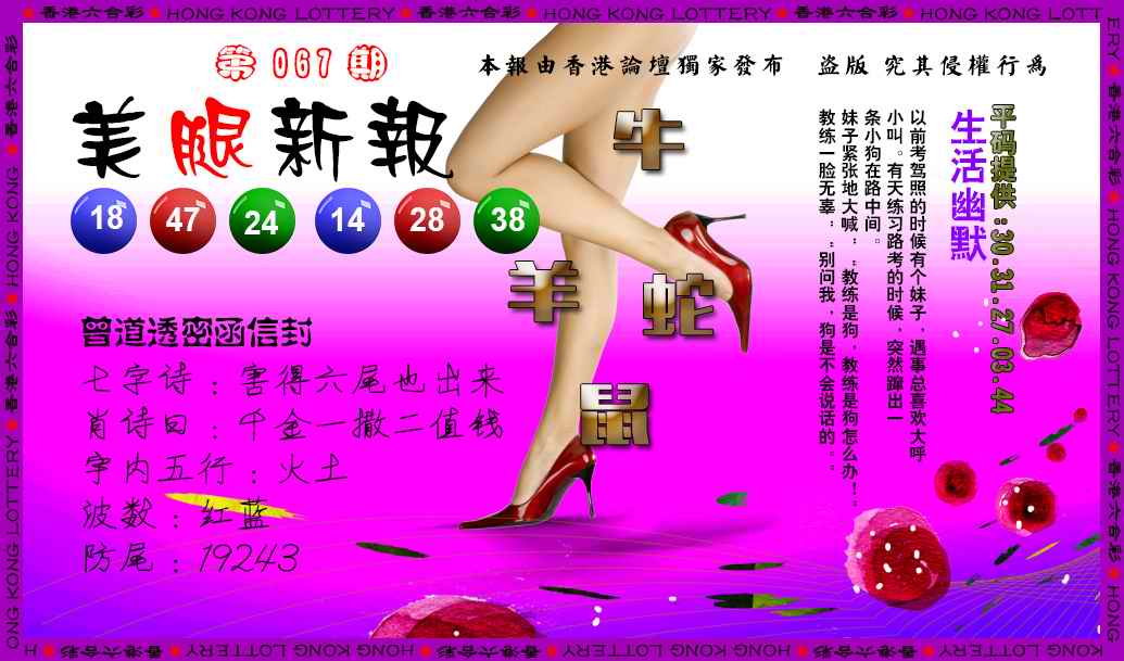 六合彩067期美腿新报