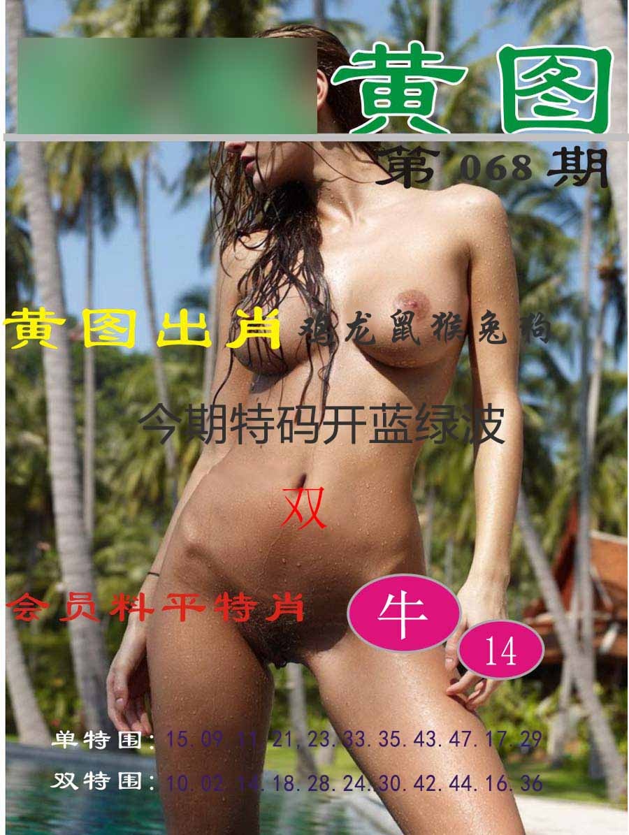 六合彩068期黄图